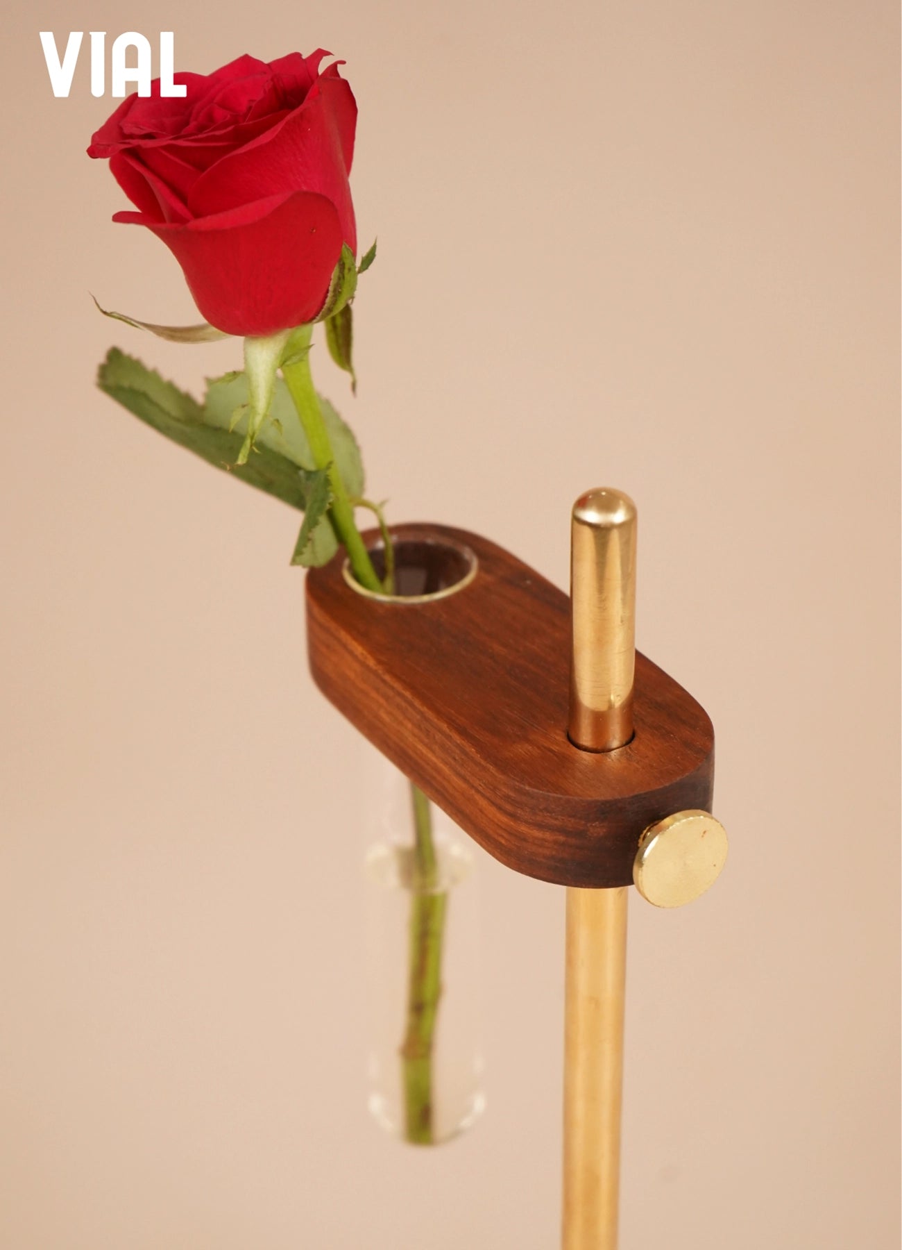 VIAL - TEST TUBE VASE